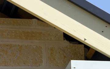 soffit repair Brandlingill